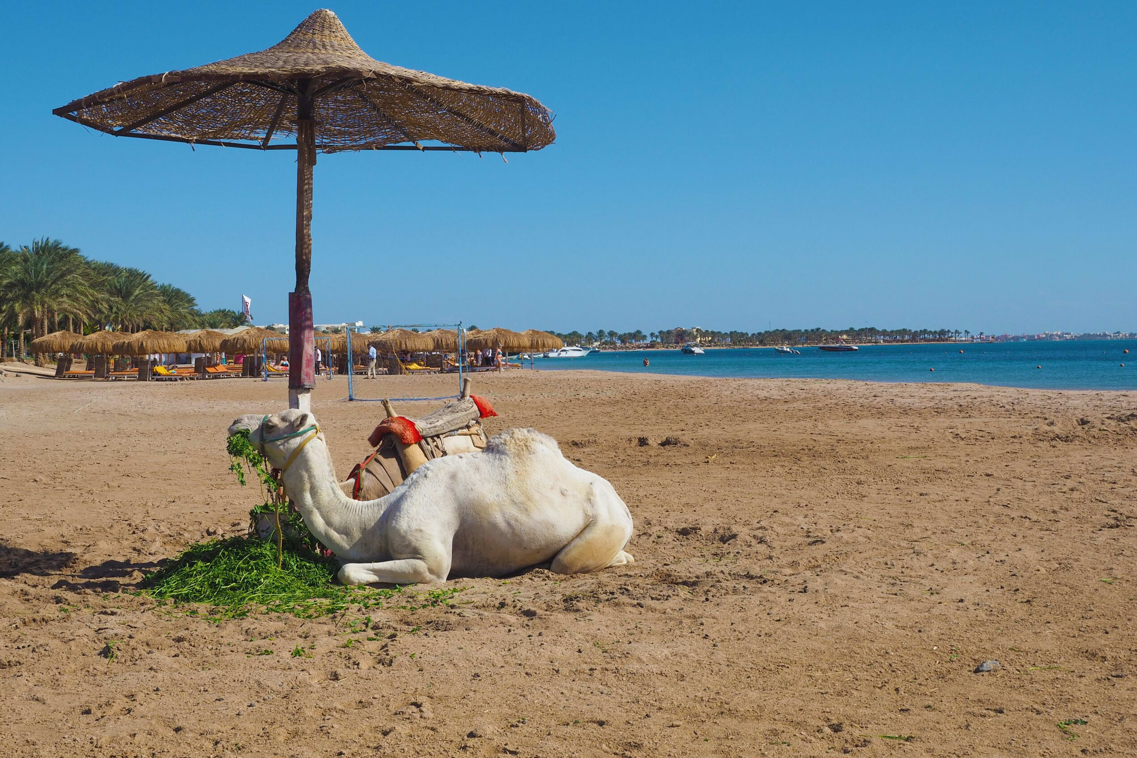 Hurghada_Egypt (6)